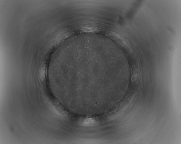 X0000113260647200910081340