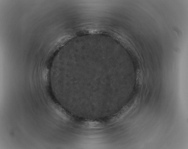 X0000113260650200910081340
