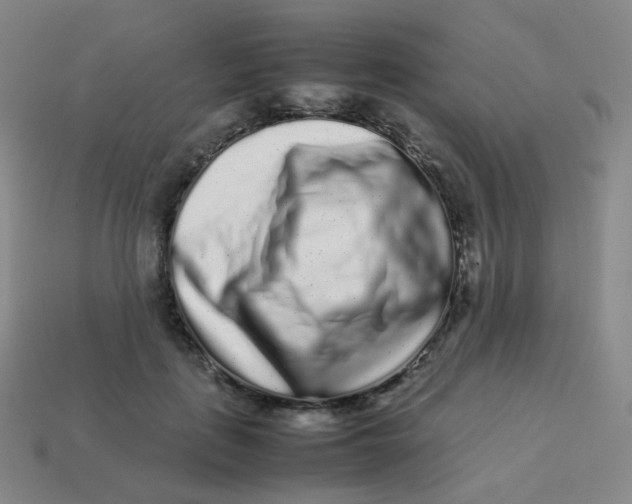 X0000113260651200910081340