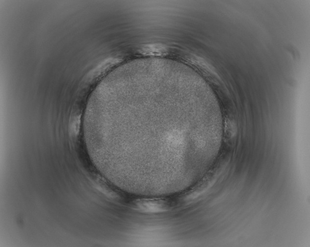 X0000113260652200910081340