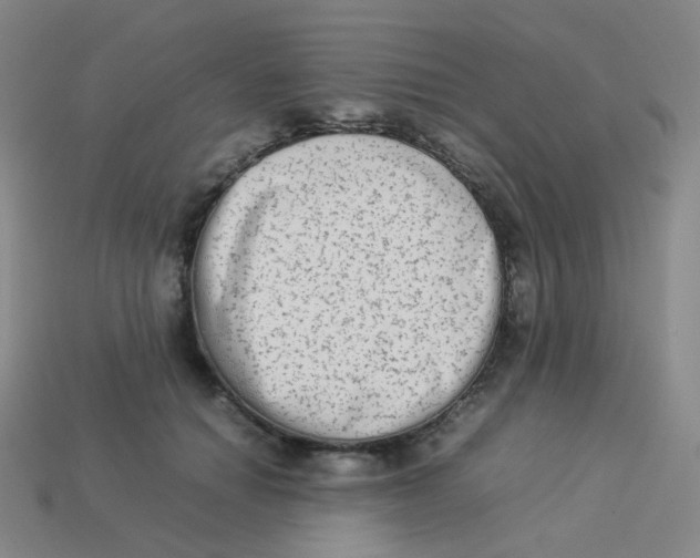 X0000113260654200910081340