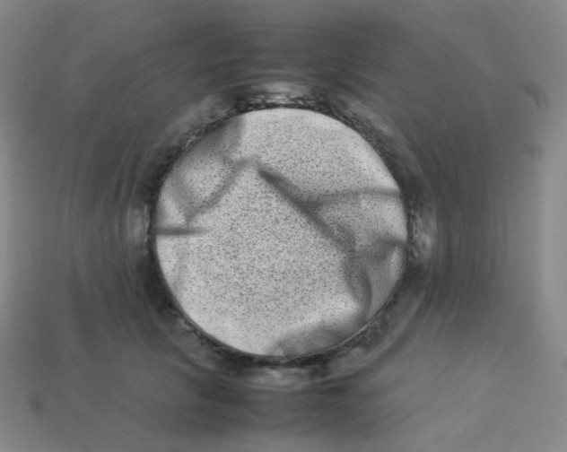 X0000113260657200910081340