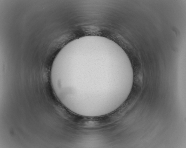X0000113260658200910081340