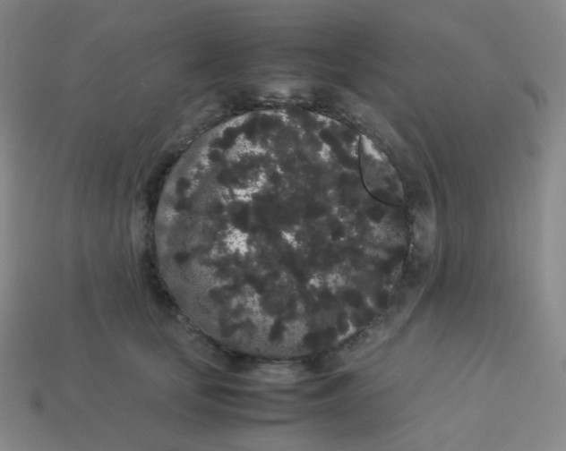 X0000113260659200910081340