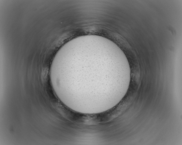 X0000113260660200910081340