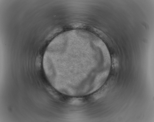 X0000113260664200910081340