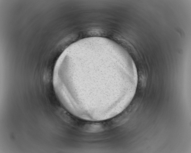 X0000113260665200910081340