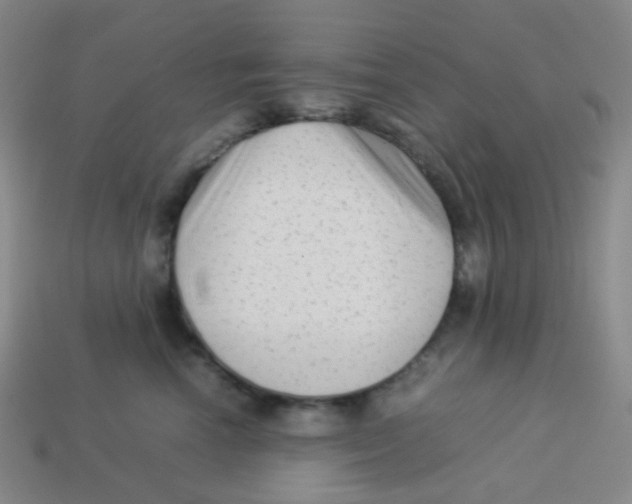 X0000113260666200910081340