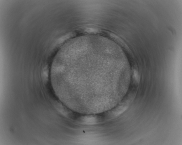 X0000113260668200910081340