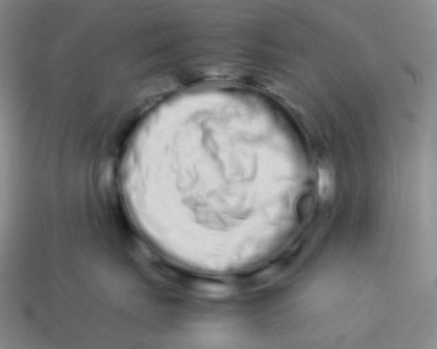 X0000113260671200910081340