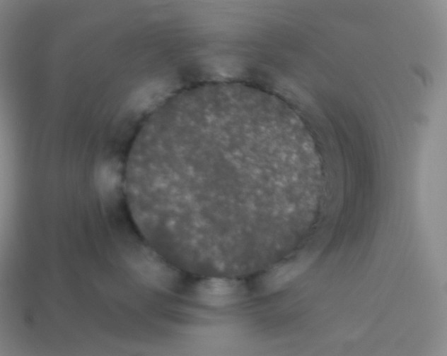 X0000113260672200910081340