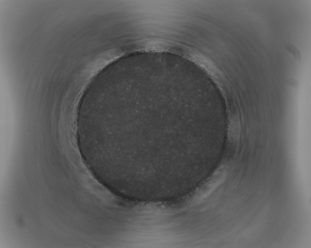 X0000113260673200910081340