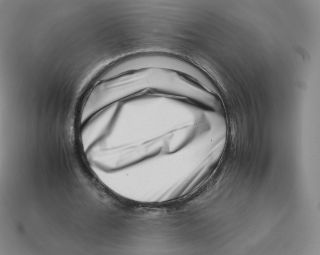 X0000113260676200910081340