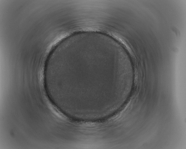 X0000113260677200910081340