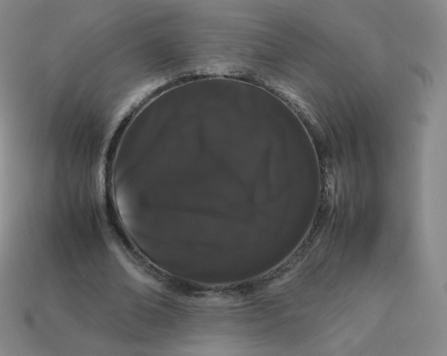X0000113260678200910081340