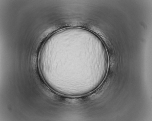 X0000113260679200910081340