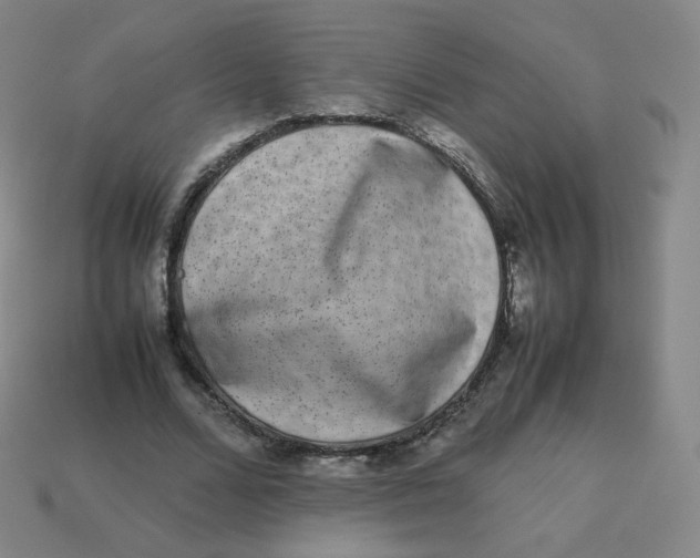 X0000113260680200910081340