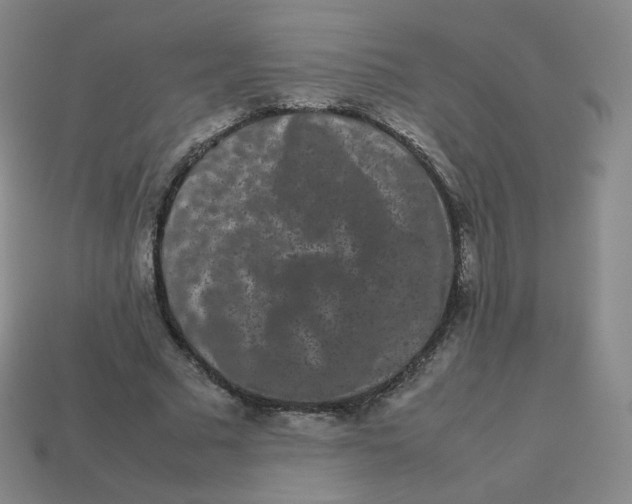 X0000113260681200910081340