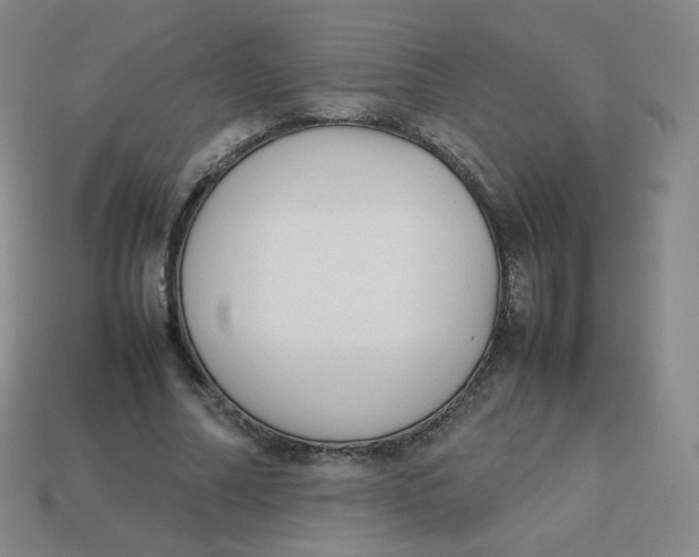 X0000113260682200910081340