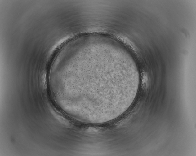 X0000113260684200910081340