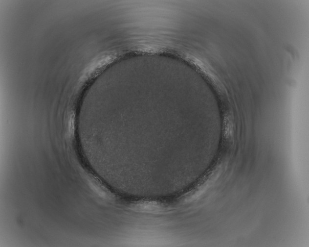 X0000113260685200910081340