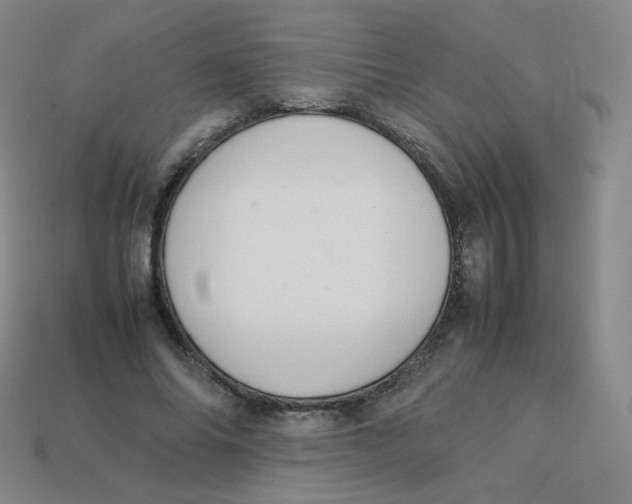 X0000113260686200910081340
