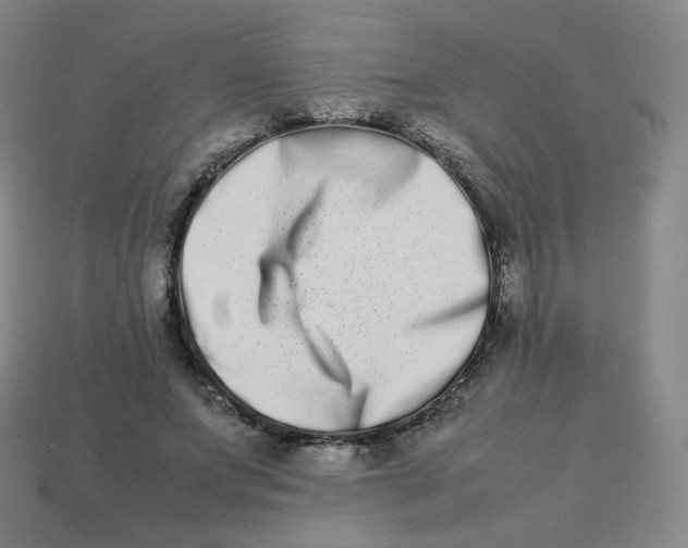 X0000113260687200910081340
