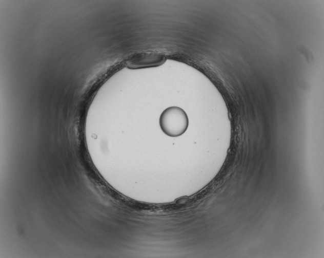 X0000113260688200910081339