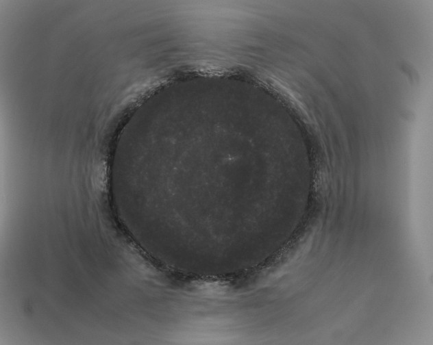 X0000113260689200910081339