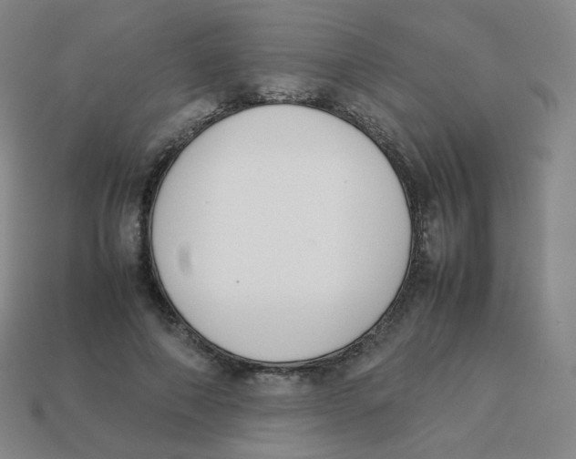 X0000113260690200910081339
