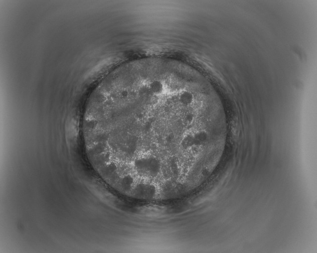 X0000113260691200910081339