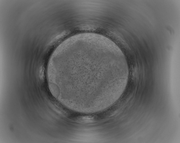 X0000113260692200910081339