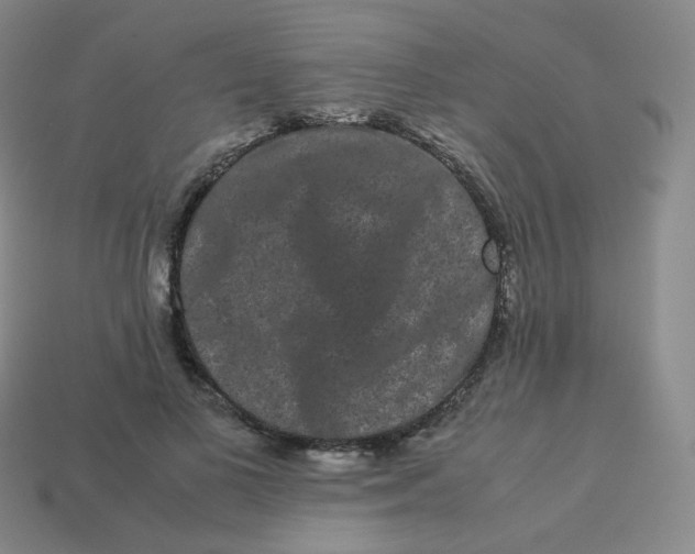 X0000113260693200910081339