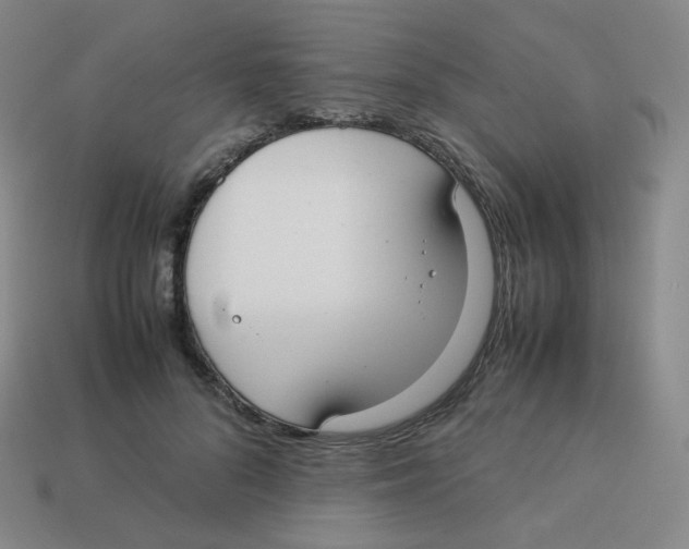 X0000113260696200910081339