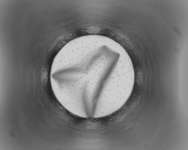 X0000113260697200910081339