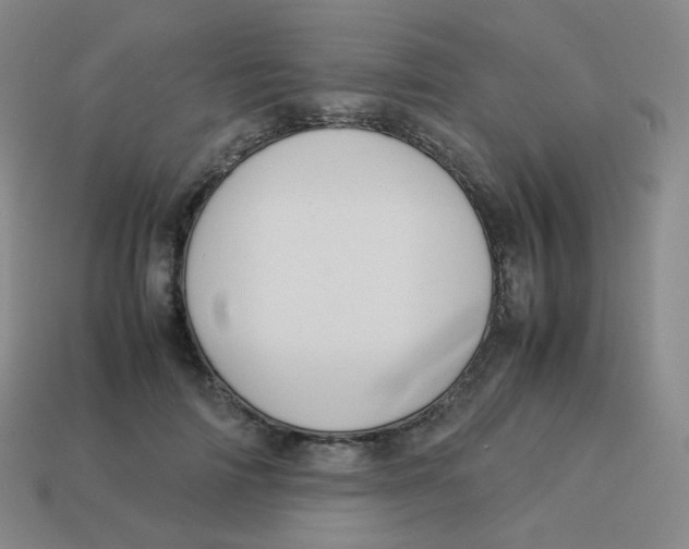 X0000113260698200910081339