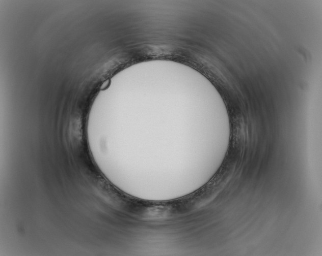 X0000113260700200910081339