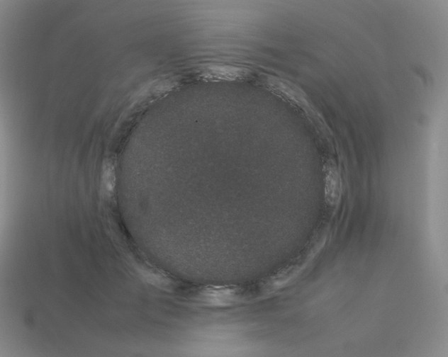 X0000113260701200910081339