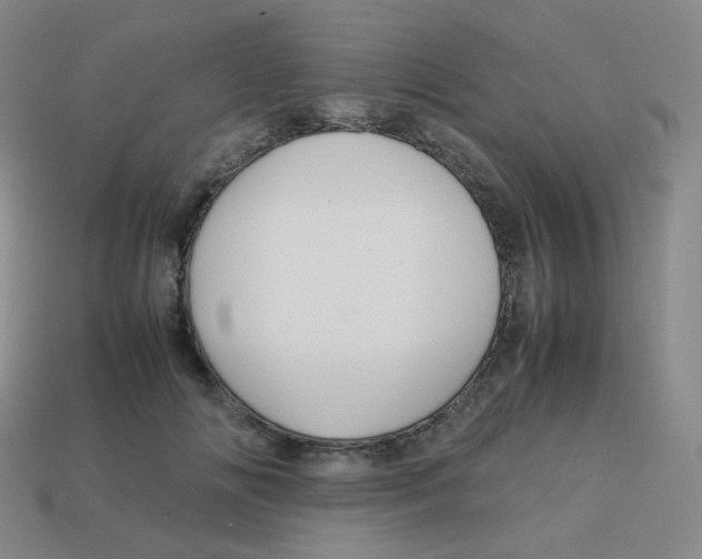 X0000113260702200910081339