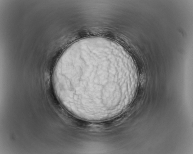 X0000113260703200910081339