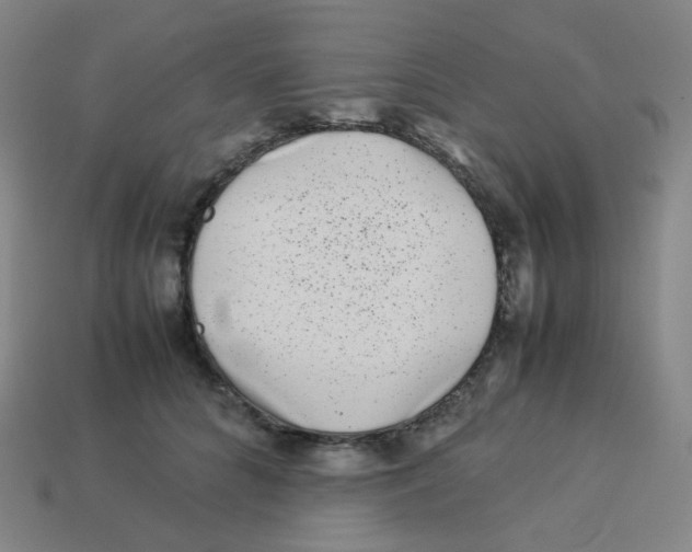 X0000113260704200910081339