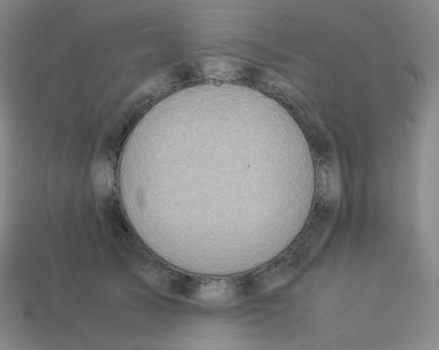 X0000113260705200910081339