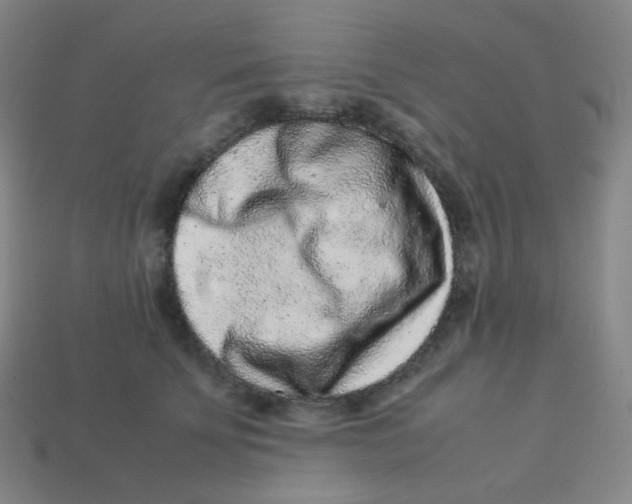 X0000113260707200910081339