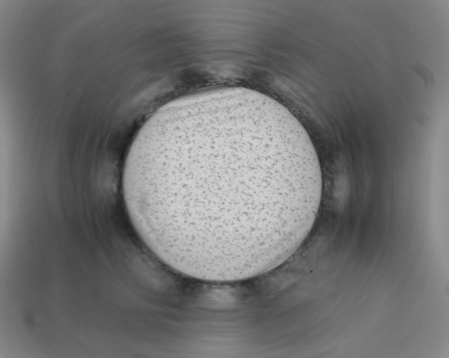 X0000113260710200910081339