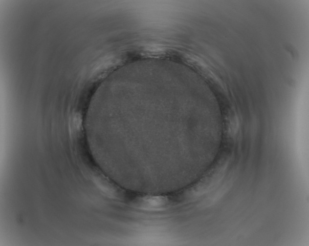 X0000113260711200910081339