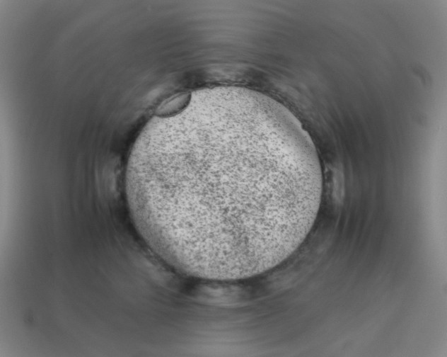 X0000113260712200910081339