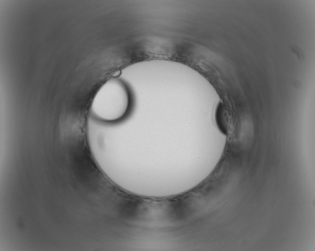 X0000113260713200910081339