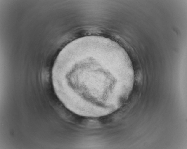 X0000113260715200910081339