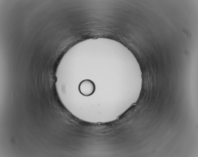 X0000113260716200910081339