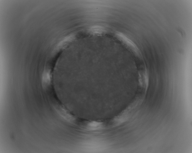 X0000113260718200910081339